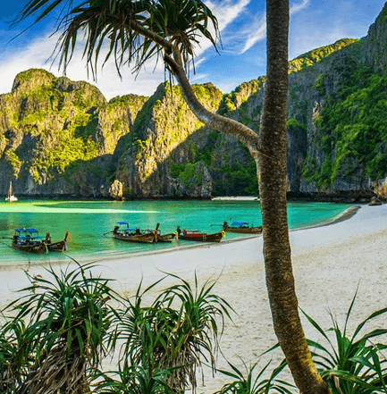 Visit Maya Bay