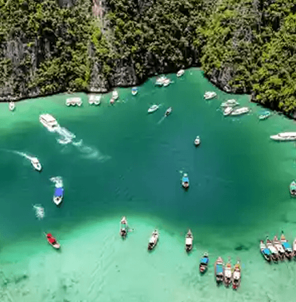Visit Phi Phi Leh Lagoon
