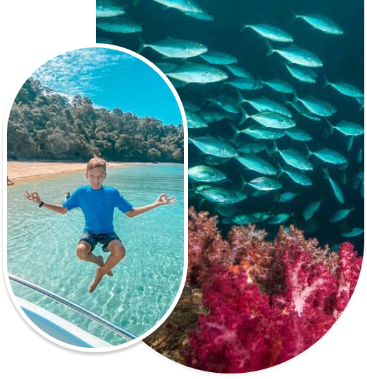 marine paradise